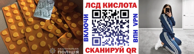 LSD-25 экстази кислота  наркота  Новоузенск 